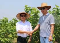 �����c�｛(j��ng)�����L(zh��ng)�۲���ؿ���