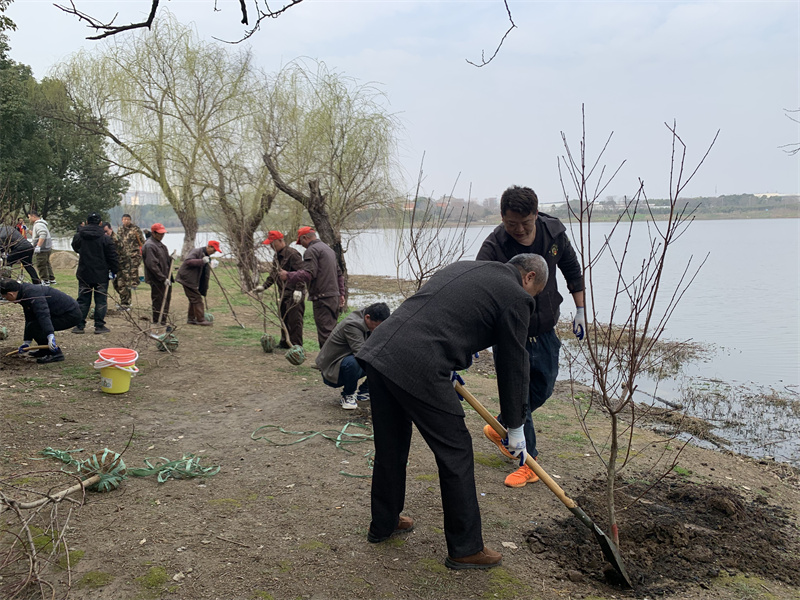 1710206110813184.jpg mtxx01.jpg